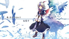 Touhou wings skirts feathers