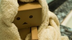 Towels danboard teddy bears