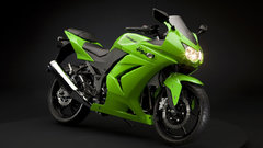 Toy Kawasaki KX250F 2009 This