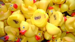 Toys rubber Ducks