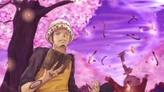 Trafalgar Law One Piece (anime)