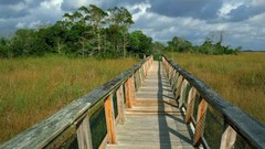 Trail Florida national park boardwalk mahogany