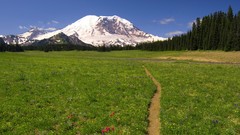 Trail Washington national park Mount Rainier scenic