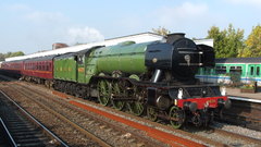 Trains locomotives Flying Scotsman