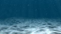 Tranquility underwater nature blue