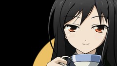 Transparent long hair anime girls brown eyes accel world black 