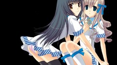 Transparent long hair hikari underwear panties Strawberry Panic