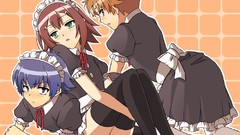 Trap baka to test