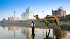 Travel rivers India Camels