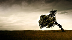 Tree could post their itt everyone