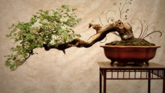 Tree decorative abstract flower