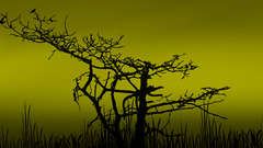 Tree for one double Made This own