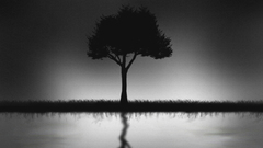 Tree reflection You copy Know depressing have cmon