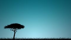 Tree und grass by