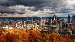 Trees autumn skylines Montreal