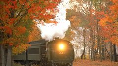 Trees autumn trains railroad