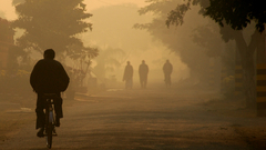 Trees Bicycles silhouettes fog