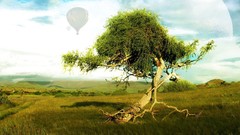 Trees blue clouds Green Biutiful (movie)