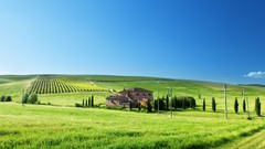 Trees blue clouds sky columns House estate
