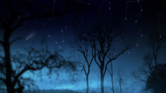 Trees blue night abstract