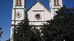 Trees Brazil churches Paraná Campo Largo