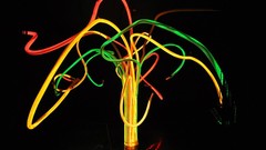 Trees bright fluorite