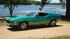 Trees cars Ford Mustang