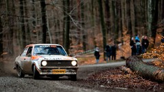 Trees cars rally races racing forests Rally Car racing cars 