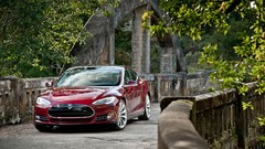 Trees cars tesla model s