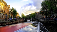 Trees cityscapes cars Bridges