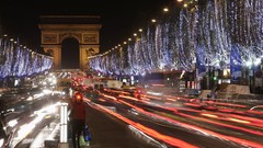 Trees cityscapes lights Europe