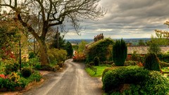Trees clouds autumn England roads architecture houses townscape