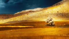 Trees clouds Men skies Armenia