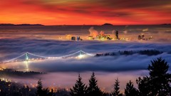 Trees clouds vancouver Bridges cityscapes orange sky