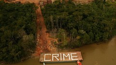 Trees crime Greenpeace