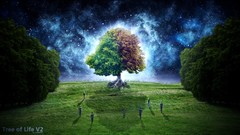 Trees fantastic Starry Night digital art fantasy art Tree Of 