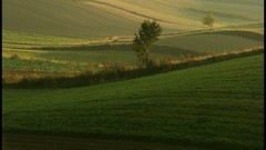 Trees fields meadows Europe