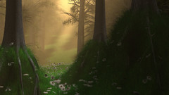 Trees forests artwork