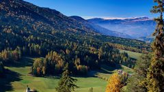 Trees forests Mountains Landscapes