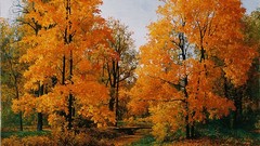 Trees forests Saidov Aydemir