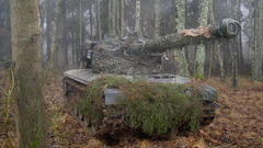 Trees forests tanks armor