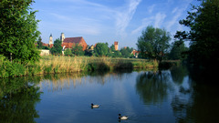 Trees germany houses streams