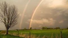 Trees grass double rainbow