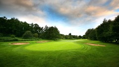Trees grass Green Golf Course