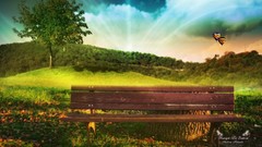 Trees Green bench hot air balloons Biutiful (movie)