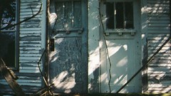 Trees houses doors abandoned house