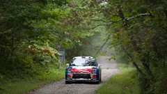 Trees Japan roads Red Bull Offroad rally racing wrc racing cars 