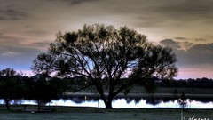 Trees lakes bstrange bobby strange