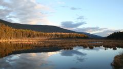 Trees lakes Landscapes