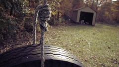 Trees leaves grass depeche